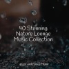 Hipnose Natureza Sons Coleção、Academia de Música para Massagem e Relaxamento、Relaxing Spa Music - Currents of Calm