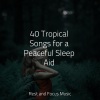 instrumental、Tinnitus、Baby Sleep Lullaby Academy - Problems Melting