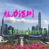 谢泽嘉 - 深圳情歌 (民谣版)