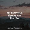 Guided Meditation、Pet Care Music Therapy、Deep Relaxation Meditation Academy - Finding Peace