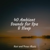 Sleep Songs 101、Baby Sleep Lullaby Academy、Academia de Música para Massagem Relaxamento《Sonic Sunsets》[MP3/LRC]