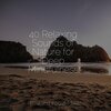 Yoga Namaste、Relaxing Music Therapy、Calming Sounds - Serenity of Spring Birds