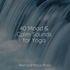Sleep Meditation Dream Catcher、Nature Sounds Nature Music、Massagem Coleção de Músicas - Gifts of Relaxation