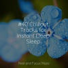 Ambient Forest、Meditative Music Guru、Musica para Massagem Especialistas - Waves of Nothing