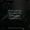 Sleeping Music、Massage Music、Asian Zen Spa Music Meditation - Gems of Tranquility