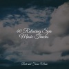 Life Sounds Nature、Sleep Sounds of Nature、Meditação Maestro - Breezing Rivers