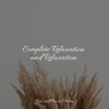 Pro Sound Effects Library、Rising Higher Meditation、Meditation Zen - Calm Whispers