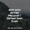 Sleep Music、Tranquil Music Sound of Nature、calm shores《Sweet Dreams Tonight》[MP3/LRC]