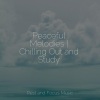 Música para Relaxar Maestro、Mindfulness Mediation World、Mindfulness Meditation World - Noise Control