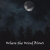 Rajaton、Jeff Smallman、UWO Mass Choir - Where the Wind Blows