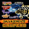 los rodarte - Ritmo Caliente