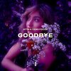 KTTK、Zero Focus、Takuya Kato、Evan Smallwood - Goodbye