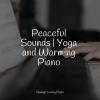 Piano Relajante、Little Magic Piano、Classical New Age Piano Music - Moonlight Rush