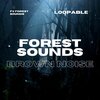 Brown Noise Sounds、FX Forest Sounds、Brown Noise Baby - Forest Sounds for Sleeping or Studying (Brown Noise) , Loopable