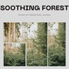 Echoes Of Nature、Brown Noise Warriors、Peaceful Nature Music - Soothing Forest Sounds with Brown Noise, Loopable