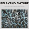 Peaceful Nature Music、Brown Noise Warriors、Echoes Of Nature - Relaxing Nature Forest Ambience Meditation (Brown Noise) , Loopable