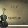 Silvano Guariso - Dance of the Hours (La Gioconda - Dance of the hours)