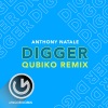 Anthony Natale、Qubiko - Digger (Qubiko Remix)