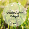 Dog Calming Music、Rain Wonder、Nature Noise - Forest Entrainment