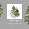 Peaceful Nature Music、White Noise Spa、Echoes Of Nature - Relaxing Music with Nature Sounds - Forest Music & White Noise, Loopable
