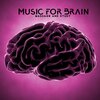 Brain Study Music Guys - Meditation Music for Study