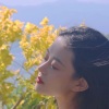 杨紫怡 - 燎原