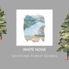 Peaceful Nature Music、Echoes Of Nature、White Noise Spa - Soothing Forest Sounds with White Noise, Loopable