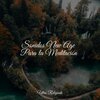 Música Relajante para Bebés、Lluvia Relajante、Ioga - Claridad Cristalina