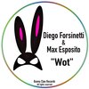 Diego Forsinetti - Wot (Original Mix)