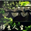 素老麻乃 - 01不忘初心，方得始终