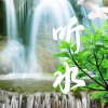 鲸鱼向海_依然 - 1竹子流水的声音