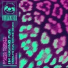 Sacha Robotti、Alex Hooper、VNSSA - I'm Having Fun (VNSSA's Fun House Remix)