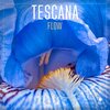 Tescana - La Cuta (Radio Edit)