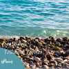 Ocean Sounds Plus、The Calm Music Crew、Study Music Playlist - Waves and Thunder