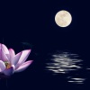 美媛宝贝 - 还没有爱够