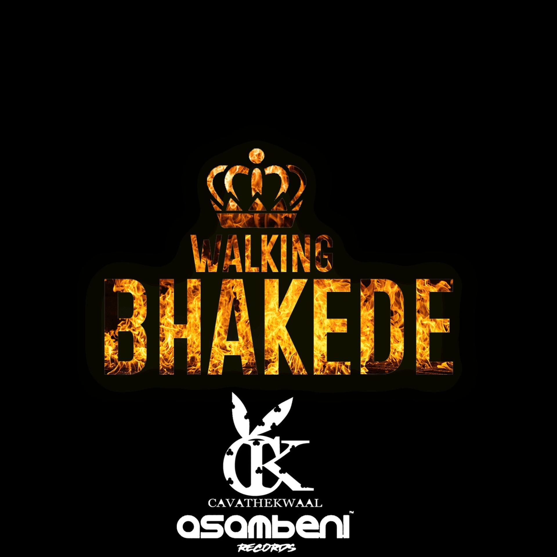 DJ Kwaal Cavathekwaal、Asambeni - Walking Bhakede (feat. Asambeni)