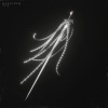 deceiver - Vain