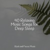 Tinnitus、Spa Zen、Sleep Songs 101 - Problems Melting