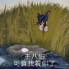 朴永纯 - 小苹果 (×0.8)