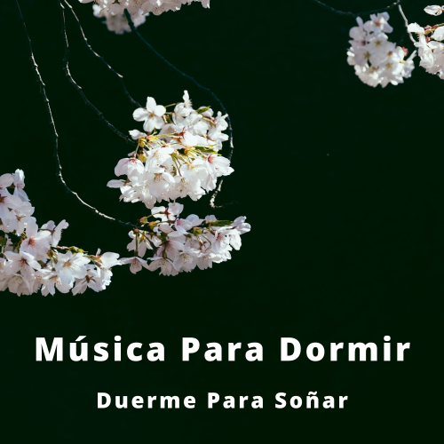 La Naturaleza Del Sueño、Música De Relajación Para Dormir Profundamente、Paz Interior - Música Relajante Para Niño