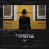 李认针 - 不动情的猫