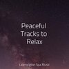 Sleep Songs with Nature Sounds、White Noise Babies、Ambient Forest - Find Yourself