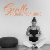 Pregnant Women Music Company - Gentle Prenatal Music