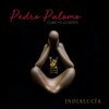 Pedro Palomo - IndiaLucia