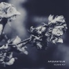 Elodie Acy - Apesanteur