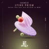 Facucio - Lying Prism