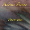 Andras Ferenc - Everybody (Extended Mix)