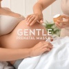 Pregnancy Academy、Pregnancy New Age Music Zone - Nature Spa Relaxation