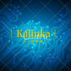 DJ汤姆喵 - Kalinka