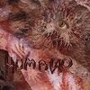 humano - Despertar